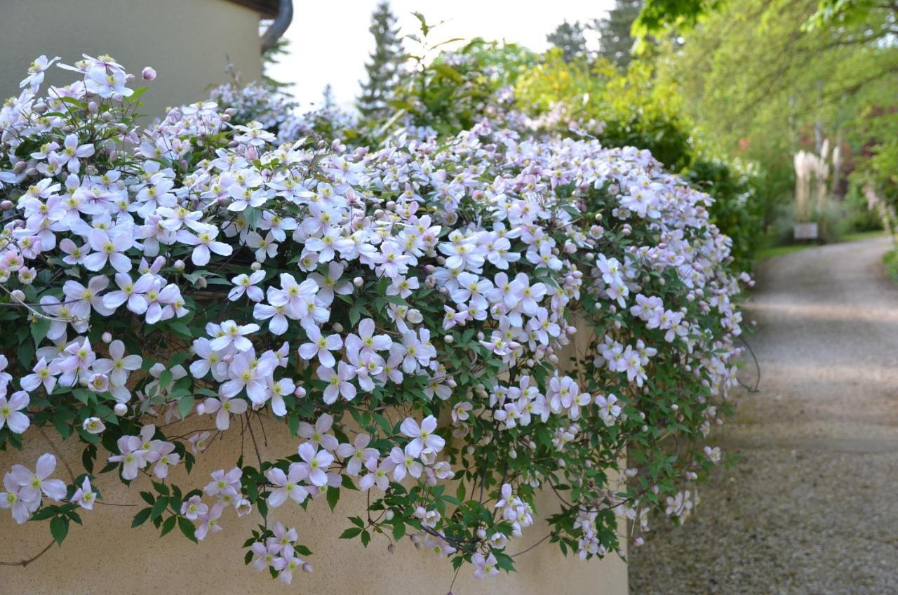 Le Clos Fleuri Bed & Breakfast Giverny Eksteriør bilde